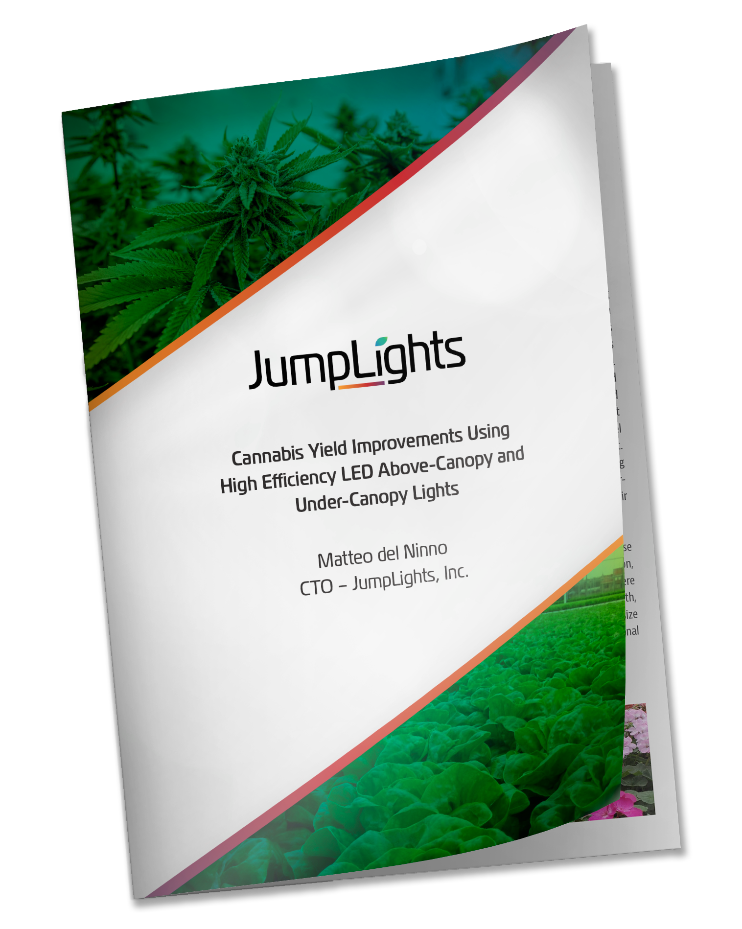 JumpLights® Whitepaper: Cannabis Yield Improvements Using High Efficiency LED Above-Canopy and Under-Canopy Lights