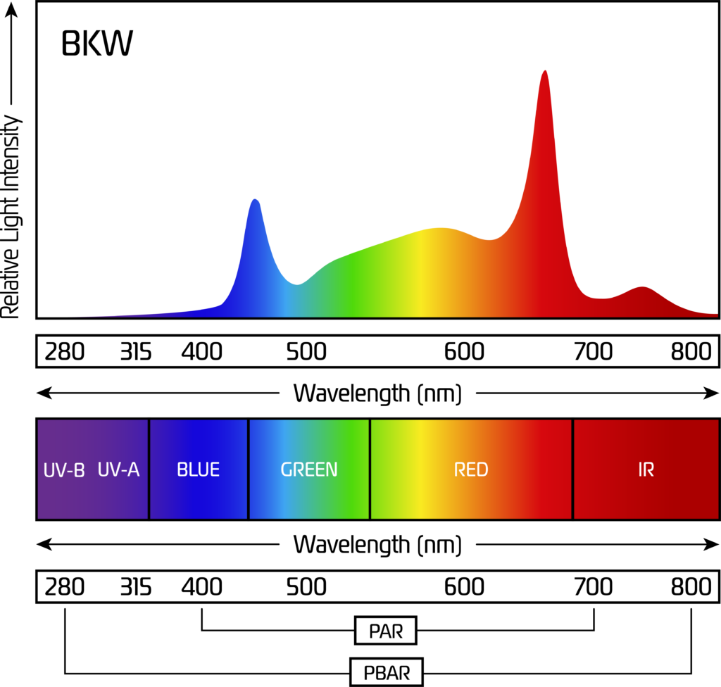 Prism Light BKW Spectrum