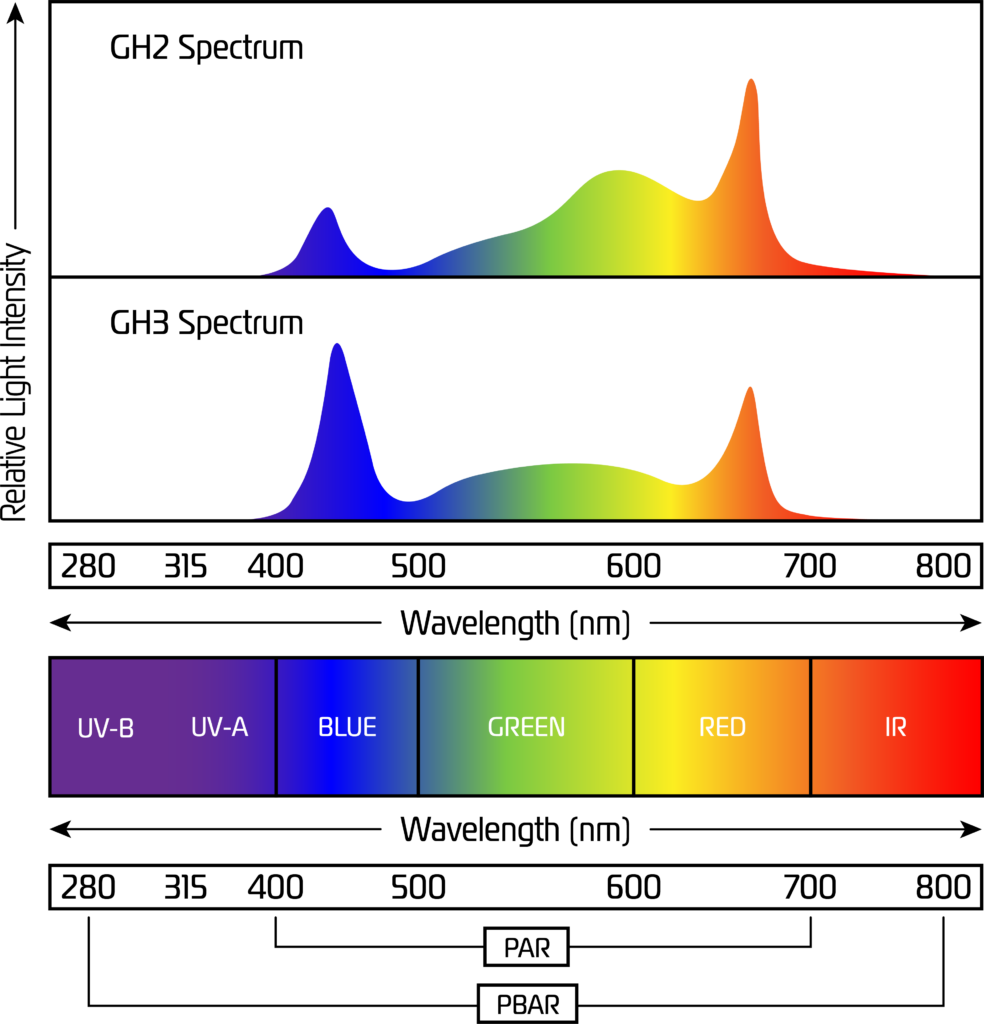 Effect of Wavelength on Leafy Greens Beyond Light Intensity