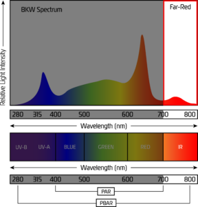 BKW-far-red-light-spectrum