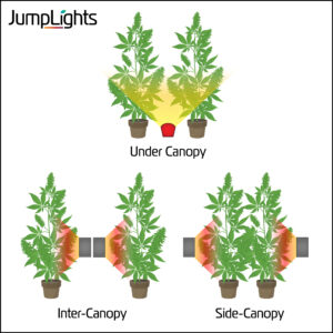 Example of different types of canopy lighting when growing cannabis indoors