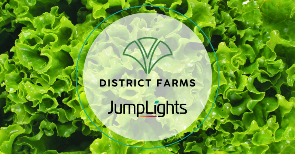 decorative featured image of fresh lettuce and the District Farms and JumpLights logo