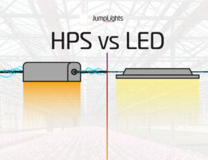 decorative graphic depicting an HPS light versus an LED lighting solution