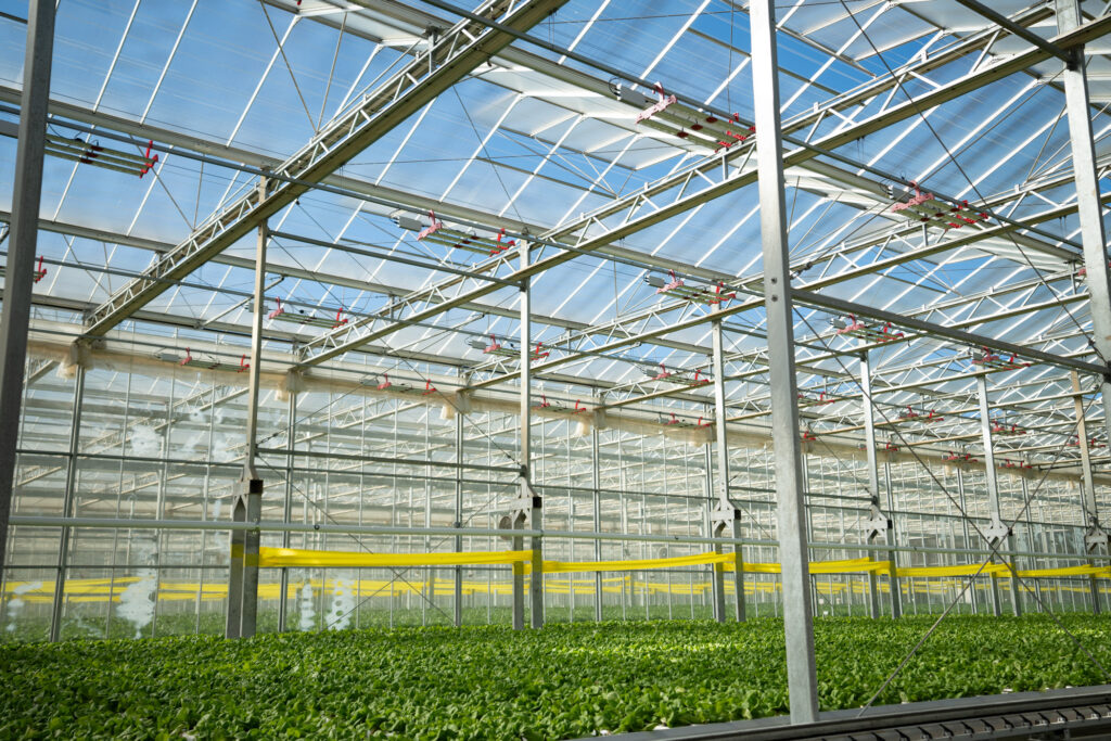 led lighting installed in a large green house