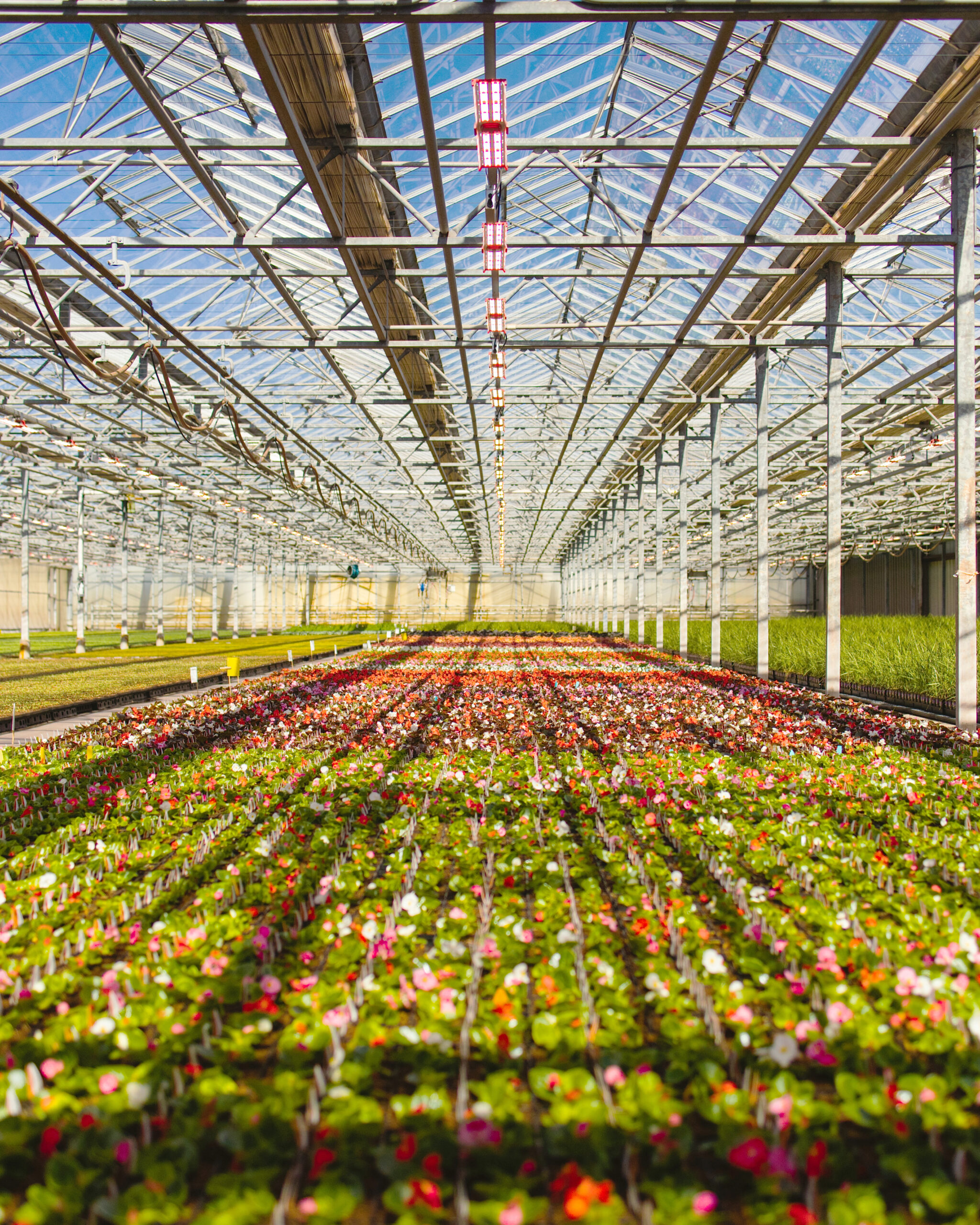 Catoctin Mountain Growers