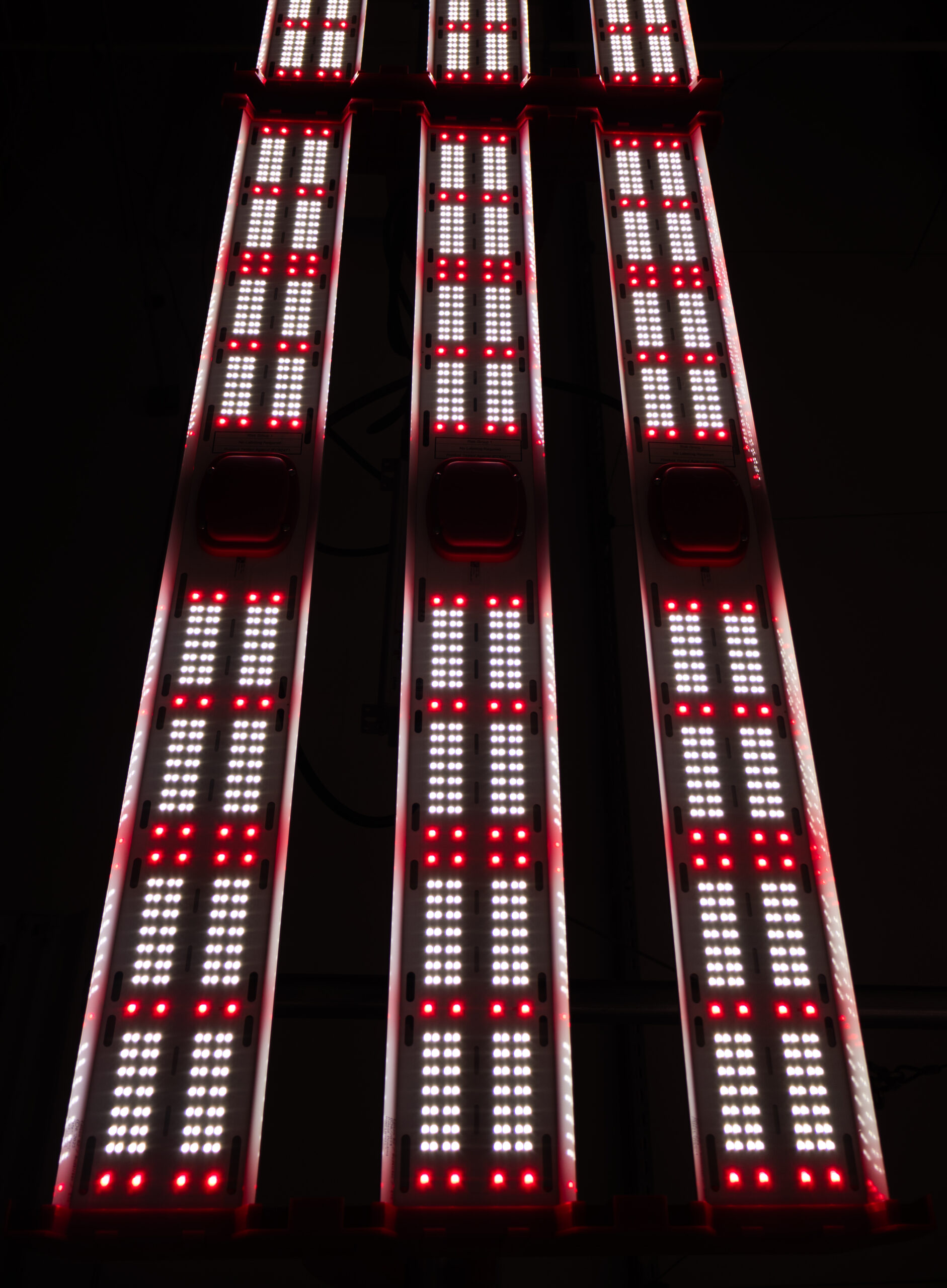 Close-up of JumpLights grow lights in a dark setting