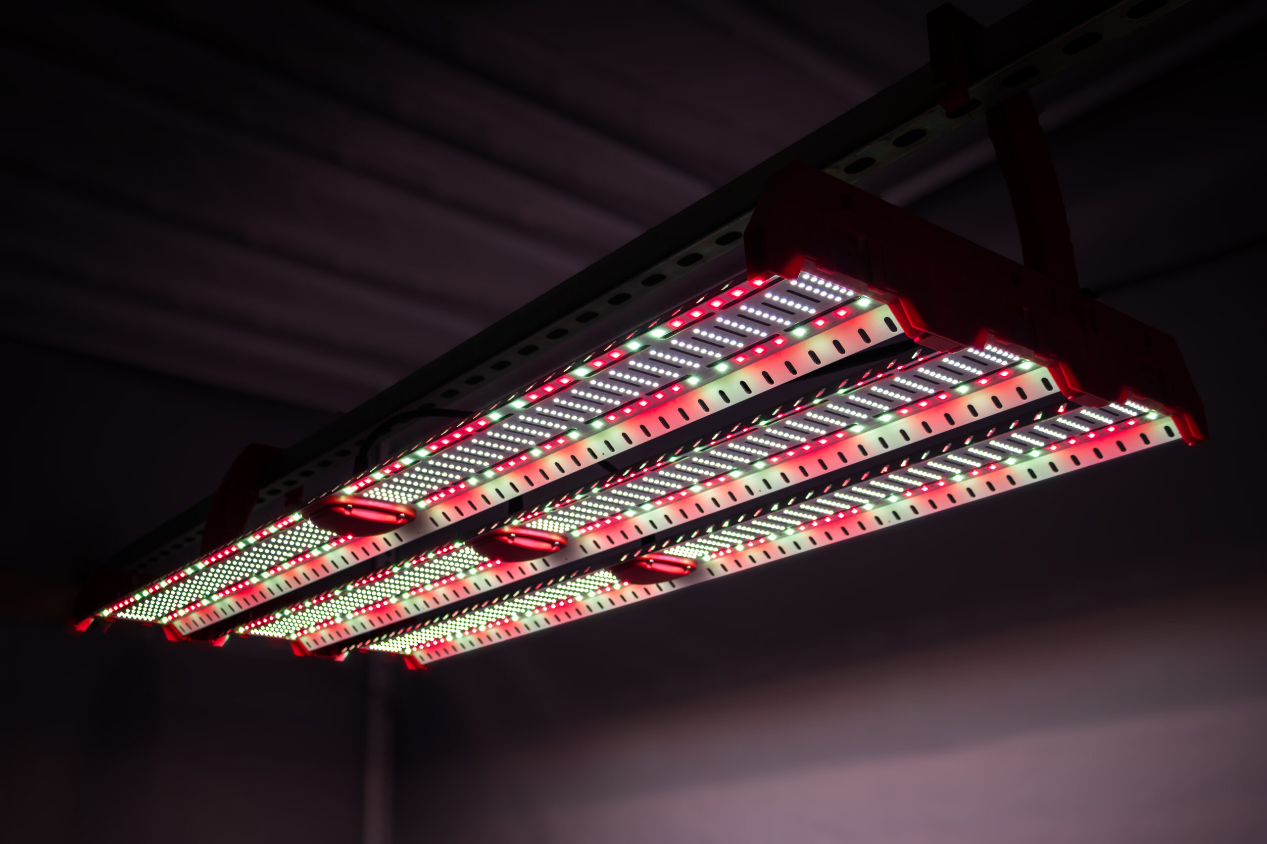 ETS-Max-Cannabis-Light