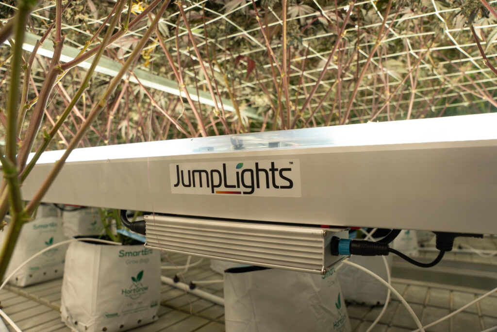 A JumpLights under canopy light