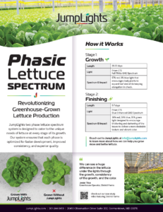 Phasic Lettuce Spectrum informative sheet