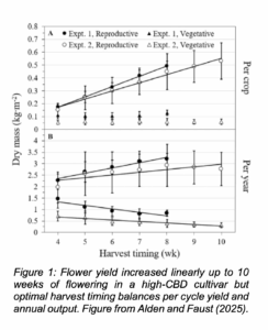 Line graph showing how flower yield increased linearly up to 10 weeks of flowering in a high-CBD cultivar but optimal harvest timing balances per cycle yield and annual output