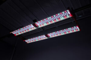 ETS MAX 4C 2 Bar Array