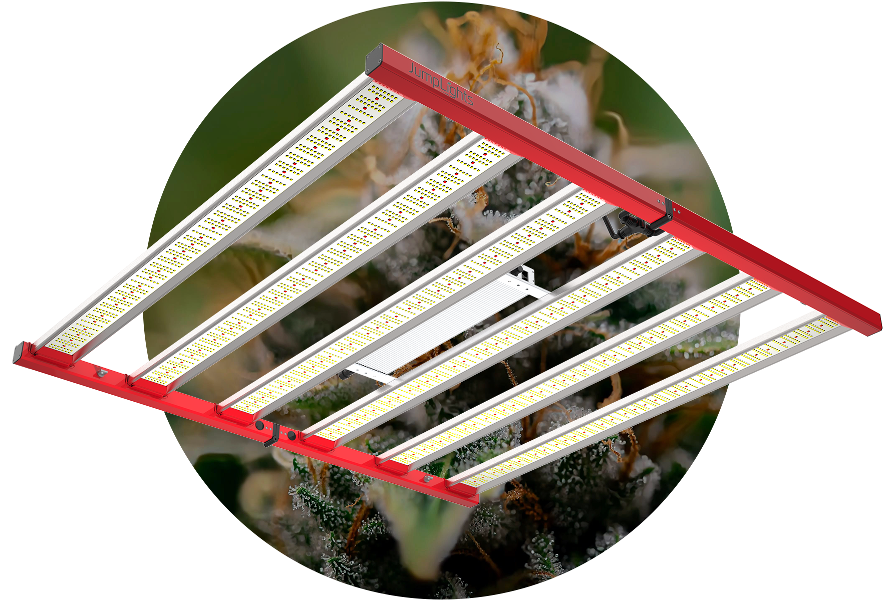 Catalyst Plant Cutout