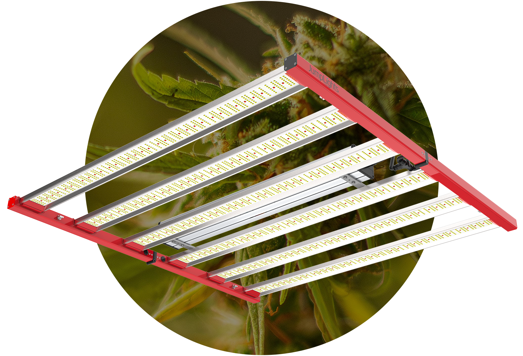 Catalyst Plant Cutout