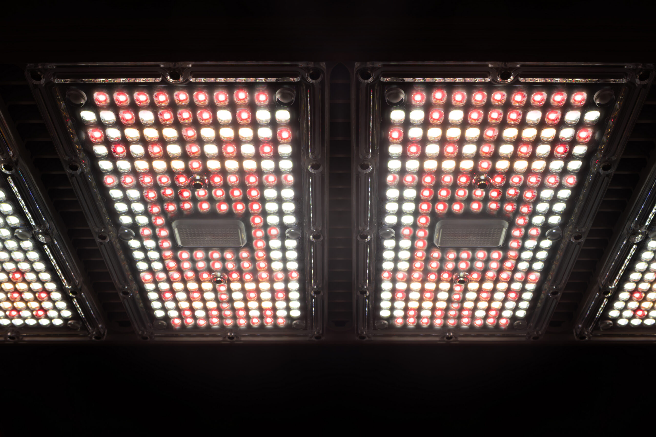 LED Grow Light Greenhouse Cultivation 1000W