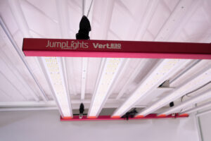 the Vert 830 light